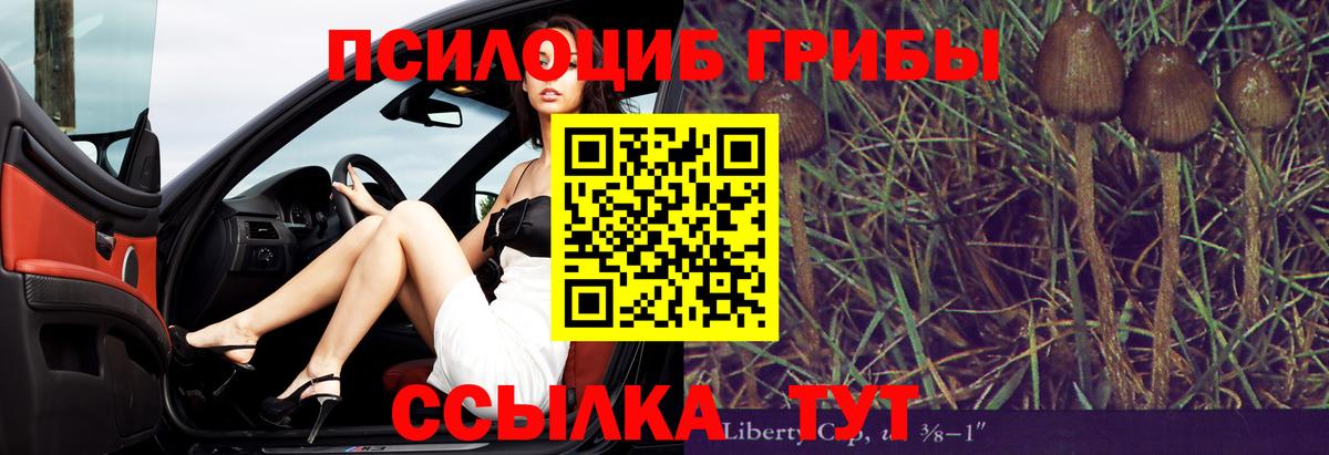Видное  Псилоцибиновые грибы Psilocybe  цена   Вход с VPN  Галлюциногенные грибы MAGIC MUSHROOMS 
