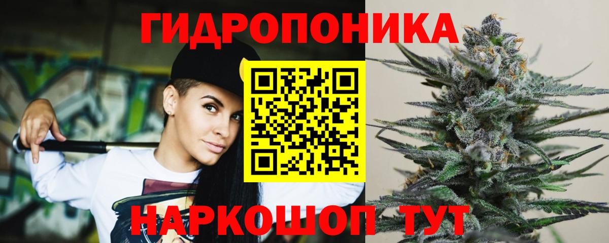 Марихуана Ganja  Канабис Bruce Banner  Конопля SATIVA & INDICA  Видное  МАРИХУАНА план  Вход с VPN 